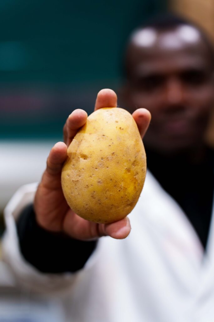 Pommes de terre Soyons Frais